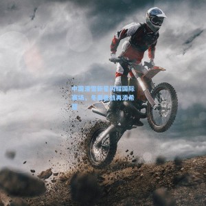 500福彩服务：中国滑雪新星闪耀国际赛场，冬奥备战再添希望