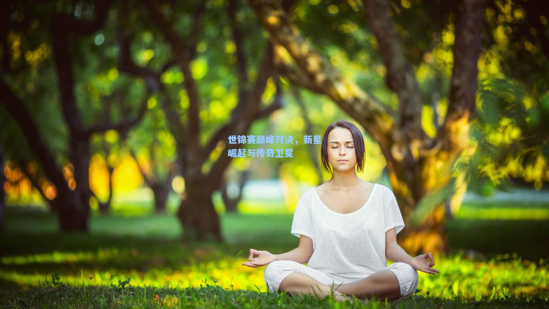 世锦赛巅峰对决，新星崛起与传奇卫冕